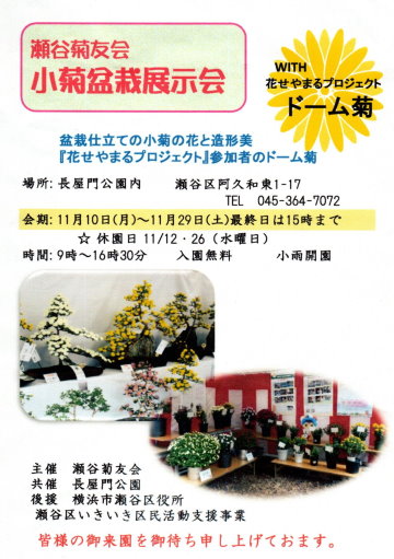 小菊盆栽展2025案内